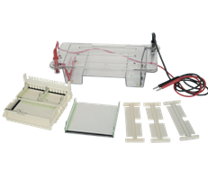 关联产品：水平电泳槽